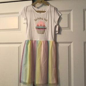 carters birthday dress